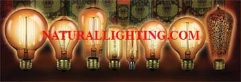 Antique Incandescent Light Bulbs