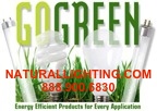 GO GREEN AMERICA - GREEN CONSULTING