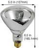 Incandescent Heat Lamp - Infrared R40, 375 w, 220 volt (# IR375220)