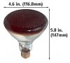 Infrared BR38 Flood, 175 watt, 130 volt, Safe-Shield, Red (# IRBR38SS)