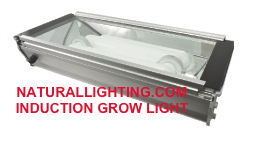 Induction Grow Light, 80 watt, 5000K (# INDG806)