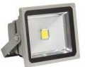 LED Compact Flood Light 20 watt, 6000K (# LEDCF20D)