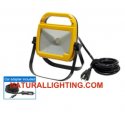 LED Portable Work Light  (LEDPWL10)
