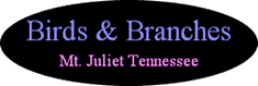Birds & Branches Website