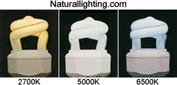 Naturallighting.com Standard Spiral Compact Fluorescent Bulbs