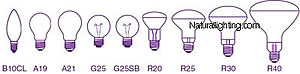 Naturallighting.com PureLite Bulbs