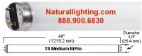 Vitabright F32T8, 32 watt, 1" Dia, Length - 48" (VBF32T8) 
