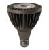 LED PAR LAMPS 