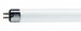 T5 Fluorescent Lamp F28T5, 28 Watt, 5000K (# 200508)