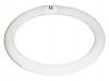 Circline FC12T9, 32 Watt, Day Light 6500K (#C3265)