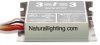 Workhorse 2, Cube Side Leads, 277 volt Ballast (# WH2/277C)