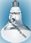 TopFlood R40, 30 Watt, 2700K, Warm Tone - Sale Price