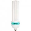 NaturesSunlite™ Full Spectrum Compact, 5500K, 93 CRI, 125 watt (# HOCFS125)