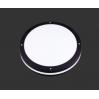 LED Ceiling Mount Exterior Black, 5000K # 3-4121D