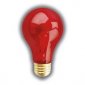 Nite-Brite™ A19, 100 watt (# 80658)