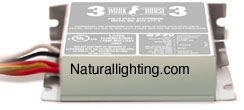Naturallighting.com Workhorse Ballasts