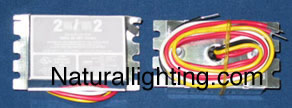 Naturallighting.com Workhorse Ballasts