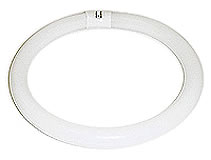 Naturallighting Circline Bulbs