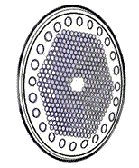 Naturallighting.com Standard Spiral Compact Fluorescent Bulbs