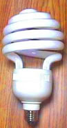 Naturallighting.com Standard Spiral Compact Fluorescent Bulbs