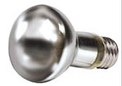 Naturallighting.com PureLite Natural Daylight Incandescent Bulbs
