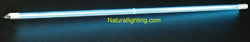 Naturallighting.com Pool and Spa Ultraviolet Purifiers